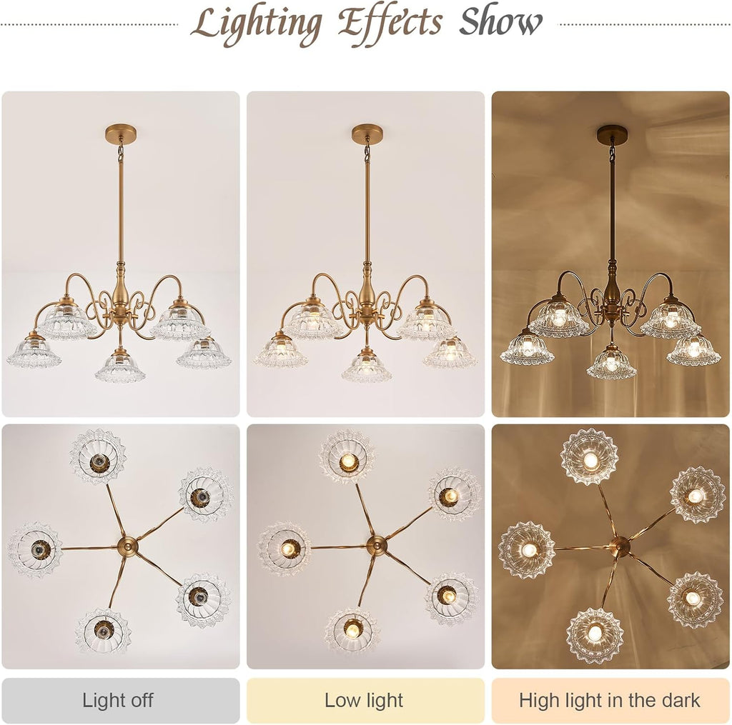 Vintage Chandelier Dining Room Light Fixture over Table Brass 5 Light Chandelier Lighting Fixture